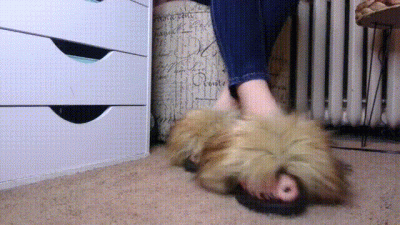 Furry Slipper