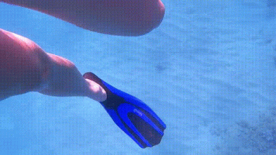 Maui Snorkel With Whales Singing