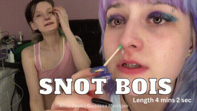 Sneezing Bundle