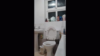 Toilet Voyeur