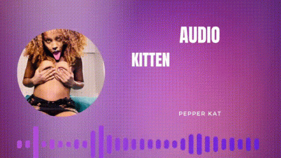 Kitten Play Audio: Purring, Meowing, Licking