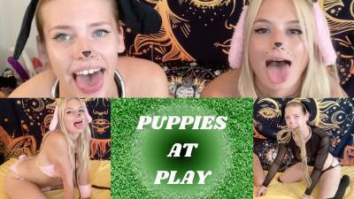 Puppies At Play 2 Girl Customs Open For Puppy Play