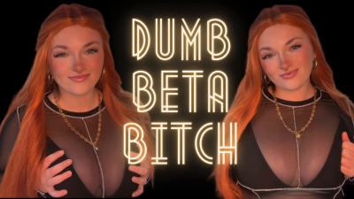 Dumb Beta Bitch- Homewreck Mind Fuck Goddess Worship Beta Loser Verbal Humiliation Degradation