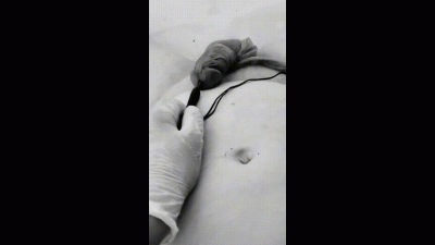 Sounding, Edging & Orgasm Denial
