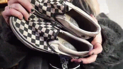 Pray To My Vans
