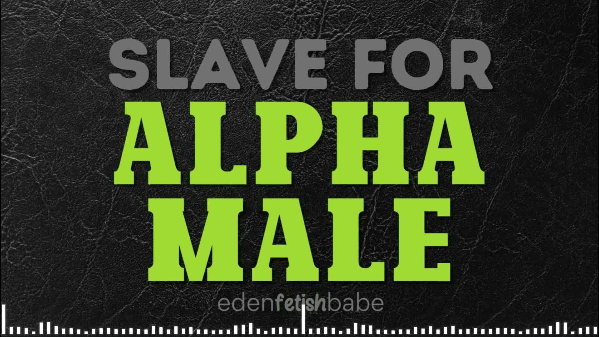 Slave For Alpha Male Audio-Visual