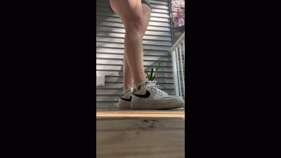 Searching For Tiny To Play With On Balcony