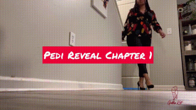 Pedi Reveal Chapter 1