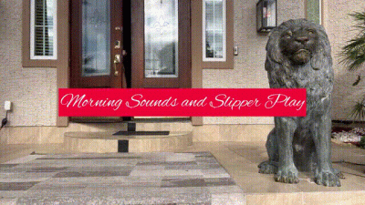 Morning Sounds And Slipper Play