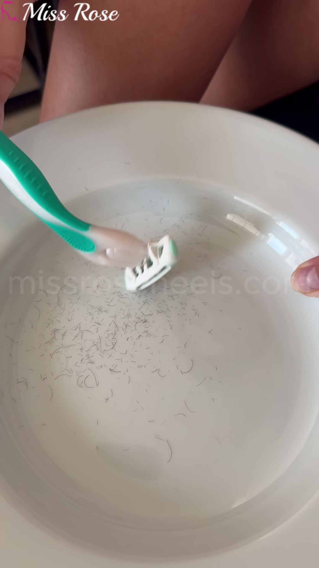 We Don't Even Throw Away My Leg Hair In This House, Everything For My Human Trash Bin