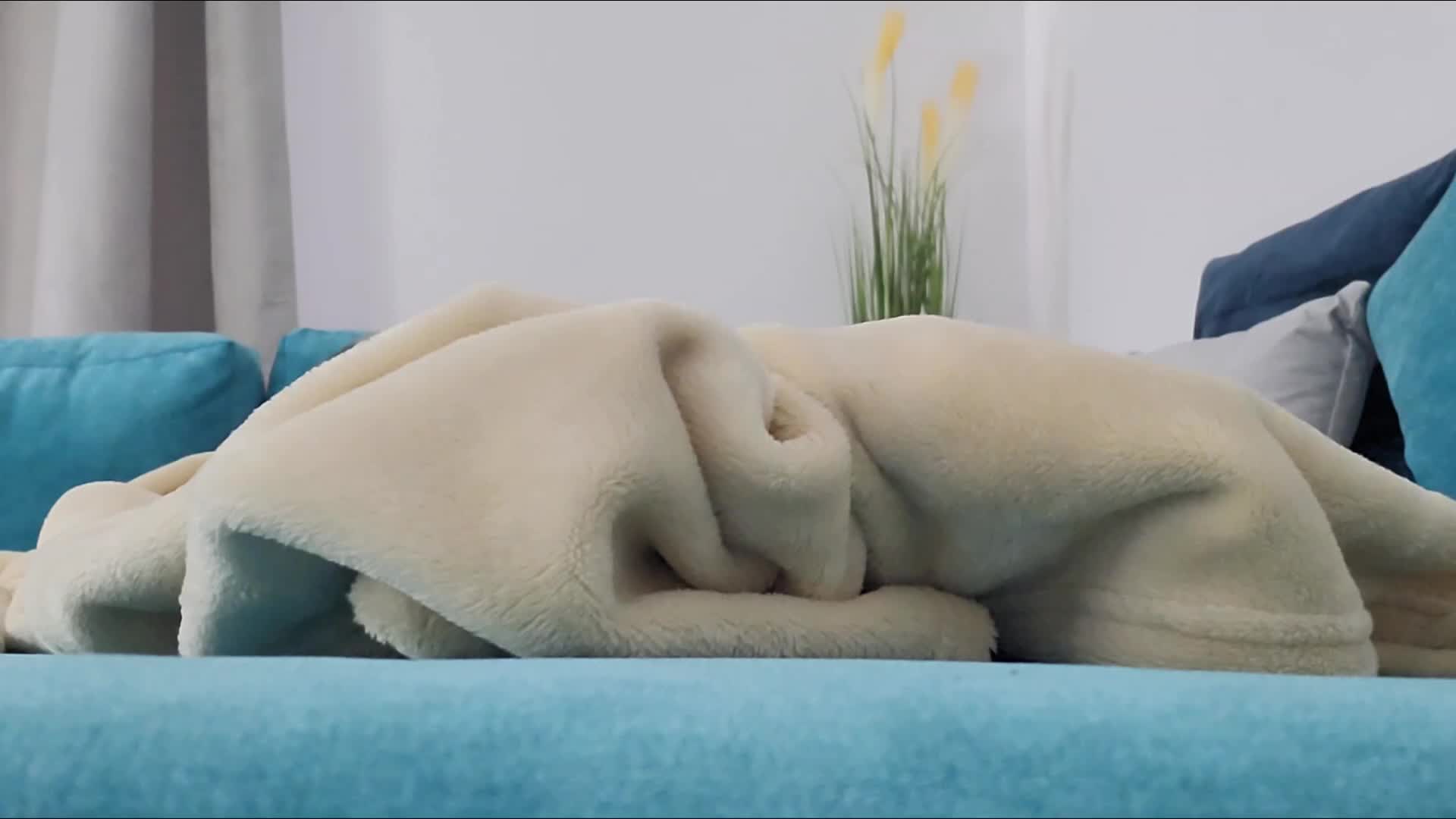 Foot Fetish Under The Blanked