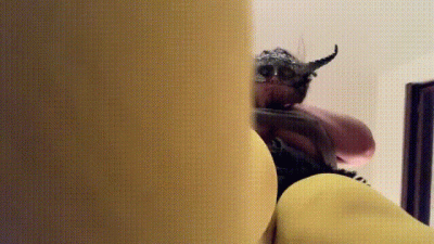 Giantess Smothering You, Stepping On You, Degrading You Slime!