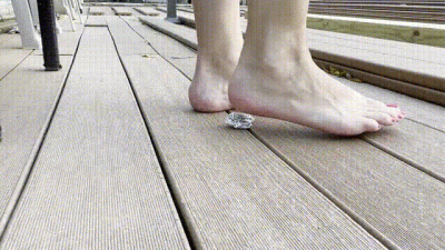 Trampling Foil On Break