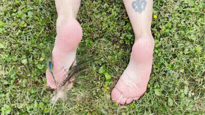 Tickled In The Back Yard