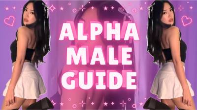 Alpha Male Guide