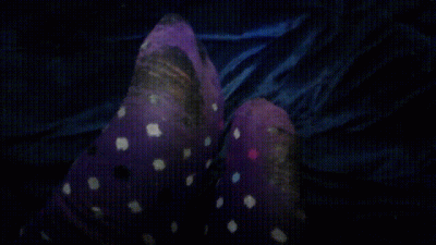Very Worn Sock Display + Toe Wiggling