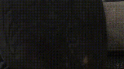 Mistress M's Boots On Your Face