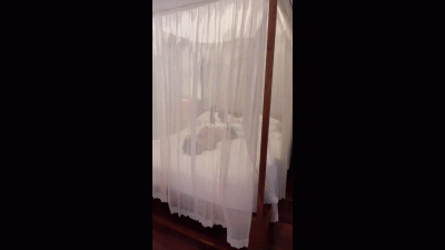 Ballgagged, Blindfolded And Handcuffed