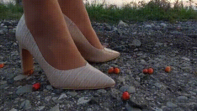 Rosehip Dream