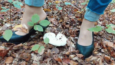 Mushrooms vs High Heels
