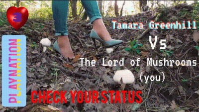 Playnation You vs Tamara