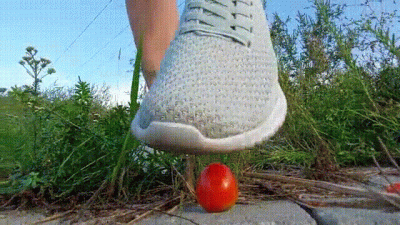 Stomping Tomatoes (720P)
