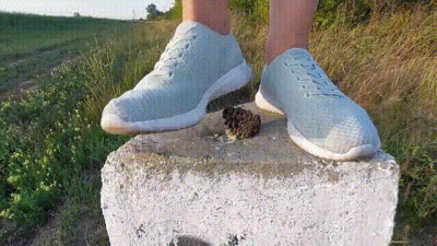 Pine Cone Mission (720P)