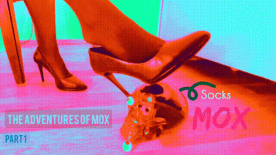 The Adventures Of Mox Part 1