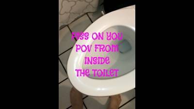 Piss On You, POV From Toilet. I Go In Your Face Inside The Toilet. You See Closeup Of Asshole And Vagina