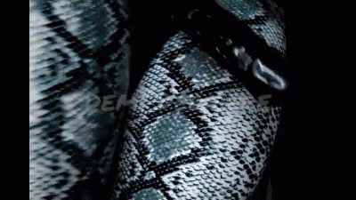 BBW Domme Tease Compilation