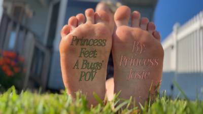 Princess Feet: A Bug's POV