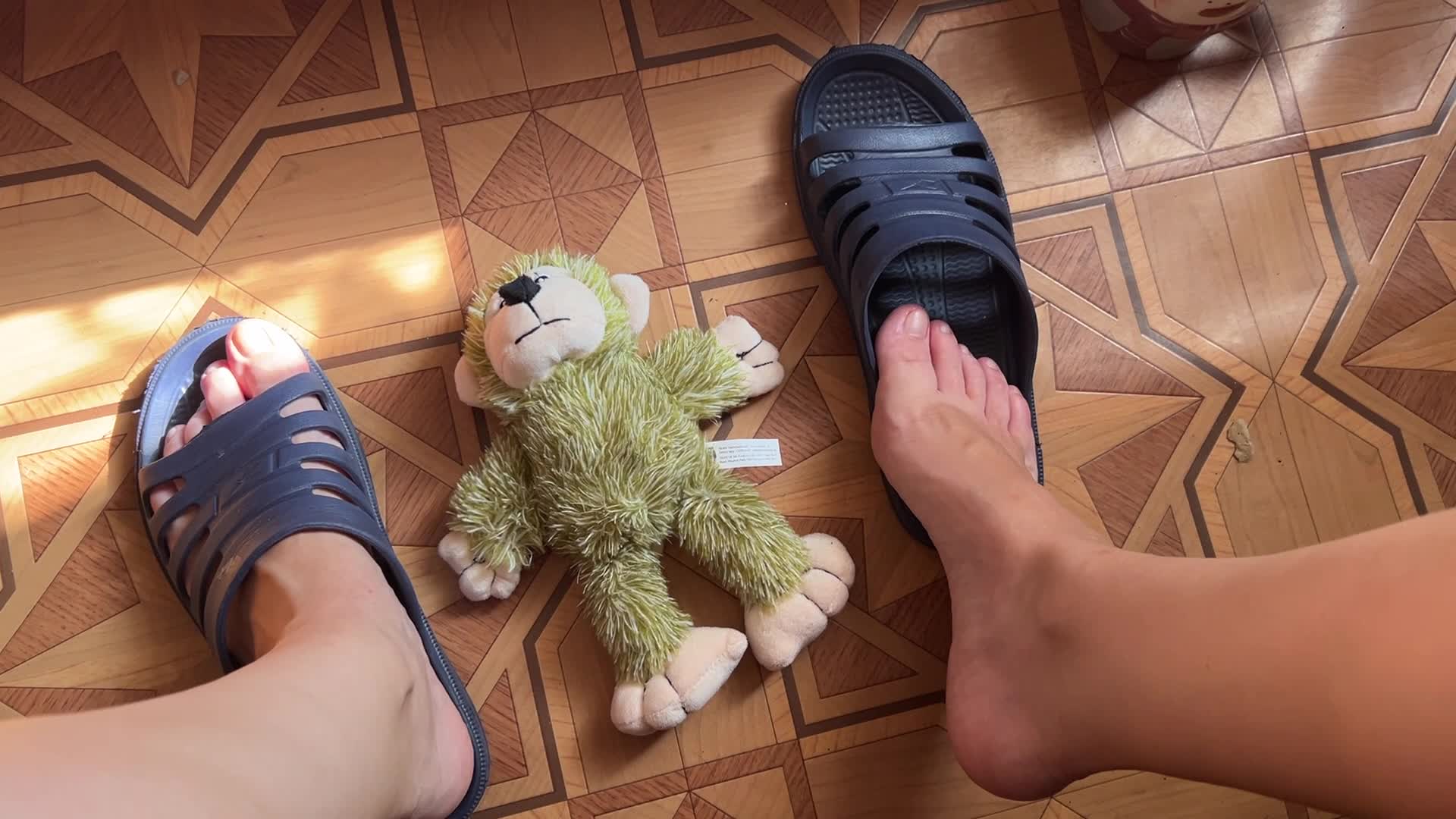 Trampling Of Plush Toy
