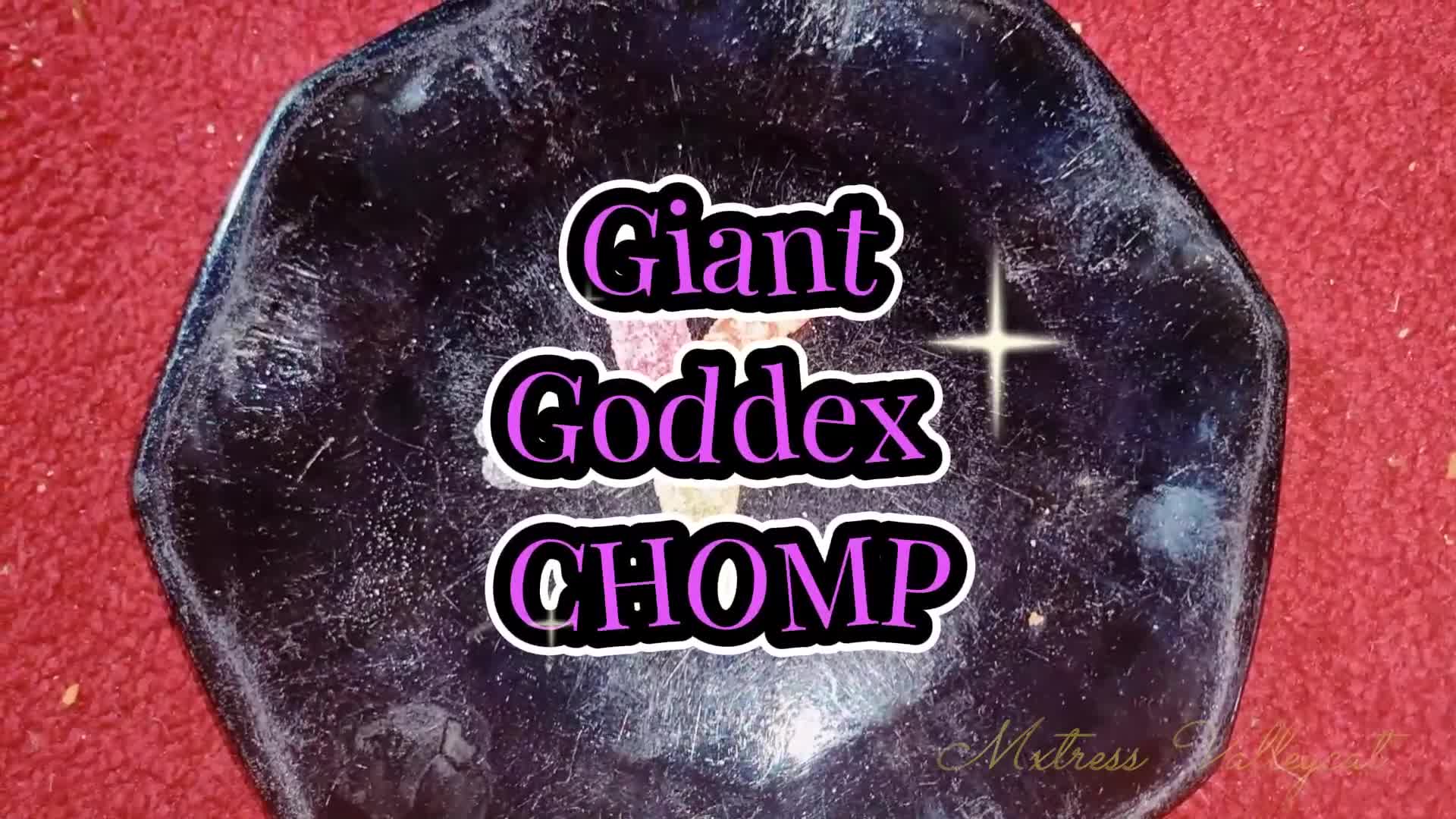 Giant Goddex Chomp