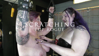 Scratching Pup Rogue