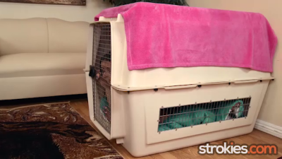 Horny Kitty Cat Farrah Alexandra Escapes Her Cage To Titty Fuck