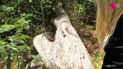 Blowjob In The Park, A Man On Horseback Sees Us