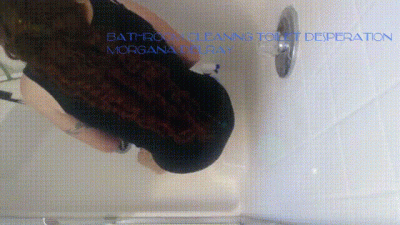 Bathroom Cleaning Toilet Desperation
