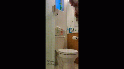 Bathroom Diary Three