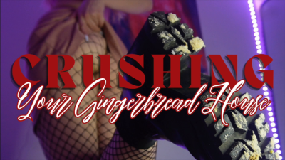 Crushing Your Gingerbread House