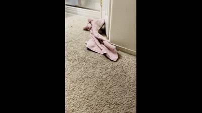 Towel Drop