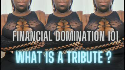 Financial Domination (Moneyslave Training): What Is A Tribute?