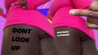 Do Not Look Up My Dress: Mistress Lavender