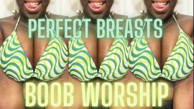 Perfect Pair Of Breasts: Boob Worship