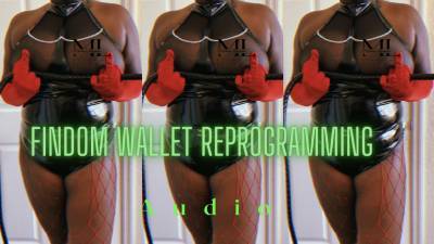 Findom Wallet Reprogramming: Audio