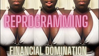 Beta Reprogramming: Financial Domination