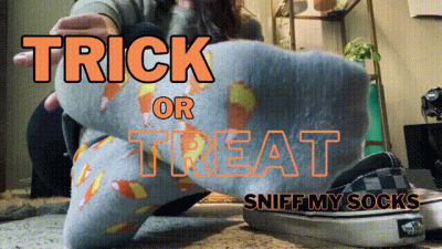 Trick Or Treat Sniff My Socks