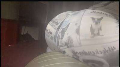 Yoga Ball Ass Squatting