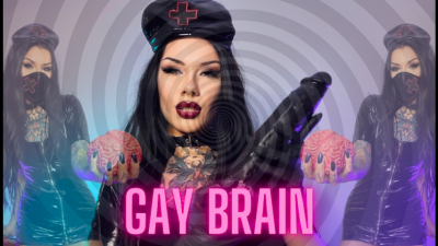 Gay Brain