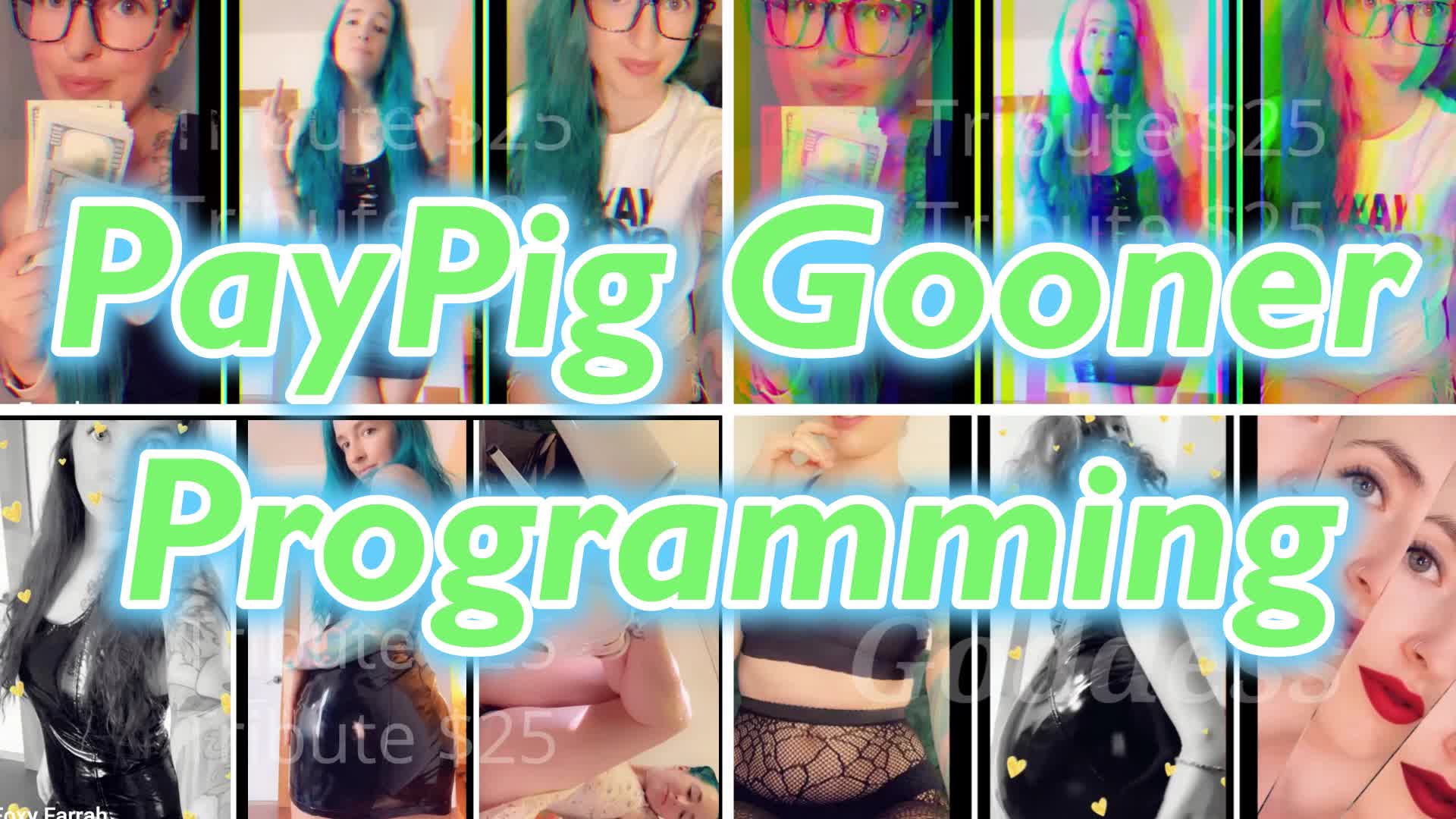 Paypig Gooner Programming