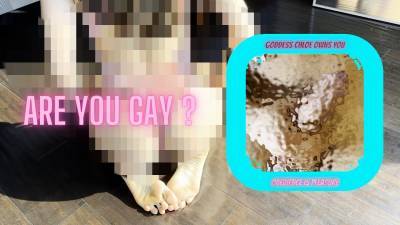 Are You Gay? Gay Test
